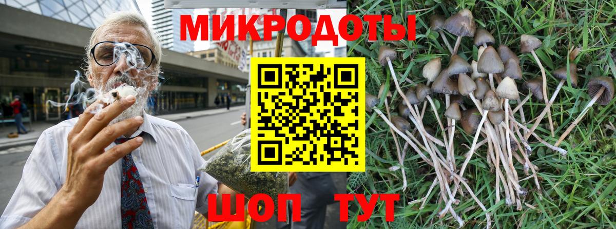Галлюциногенные грибы Cubensis Кузнецк